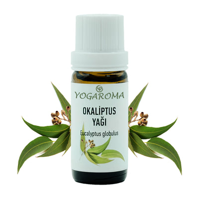 NPO Yogaroma Ferahlatıcı Aromaterapi 10mL Saf ve Doğal Okaliptus Uçucu Yağ