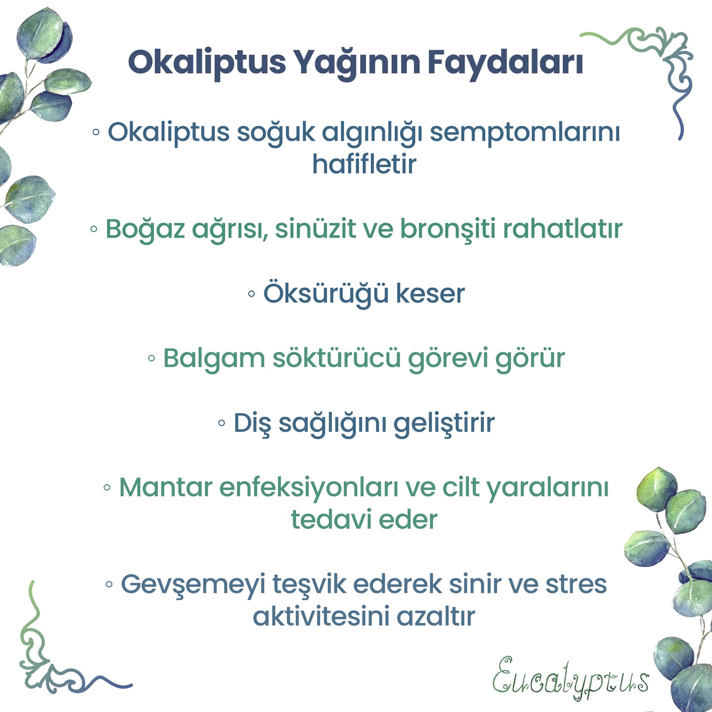 NPO Yogaroma Ferahlatıcı Aromaterapi 10mL Saf ve Doğal Okaliptus Uçucu Yağ