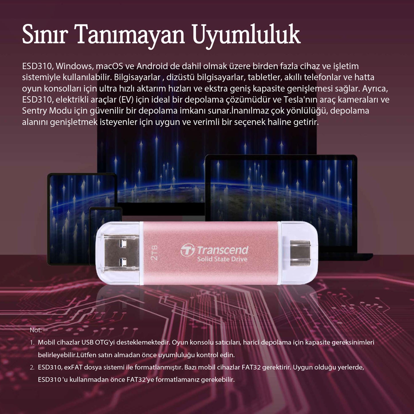 Transcend TS1TESD310S 1TB USB/Type-C 10Gbps Taşınabilir Harici SSD - Gümüş OUTLET