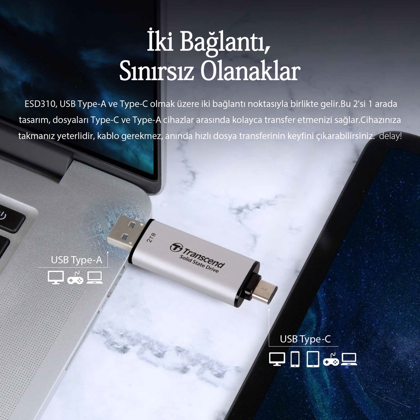 Transcend TS1TESD310S 1TB USB/Type-C 10Gbps Taşınabilir Harici SSD - Gümüş OUTLET