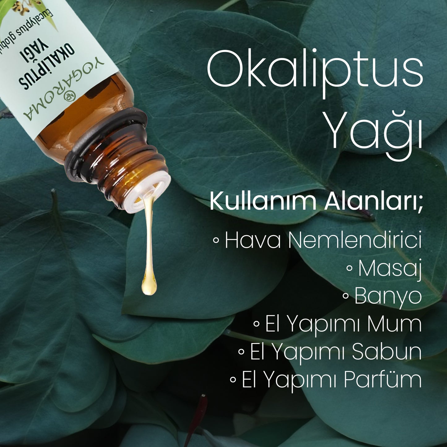 NPO Yogaroma Ferahlatıcı Aromaterapi 10mL Saf ve Doğal Okaliptus Uçucu Yağ