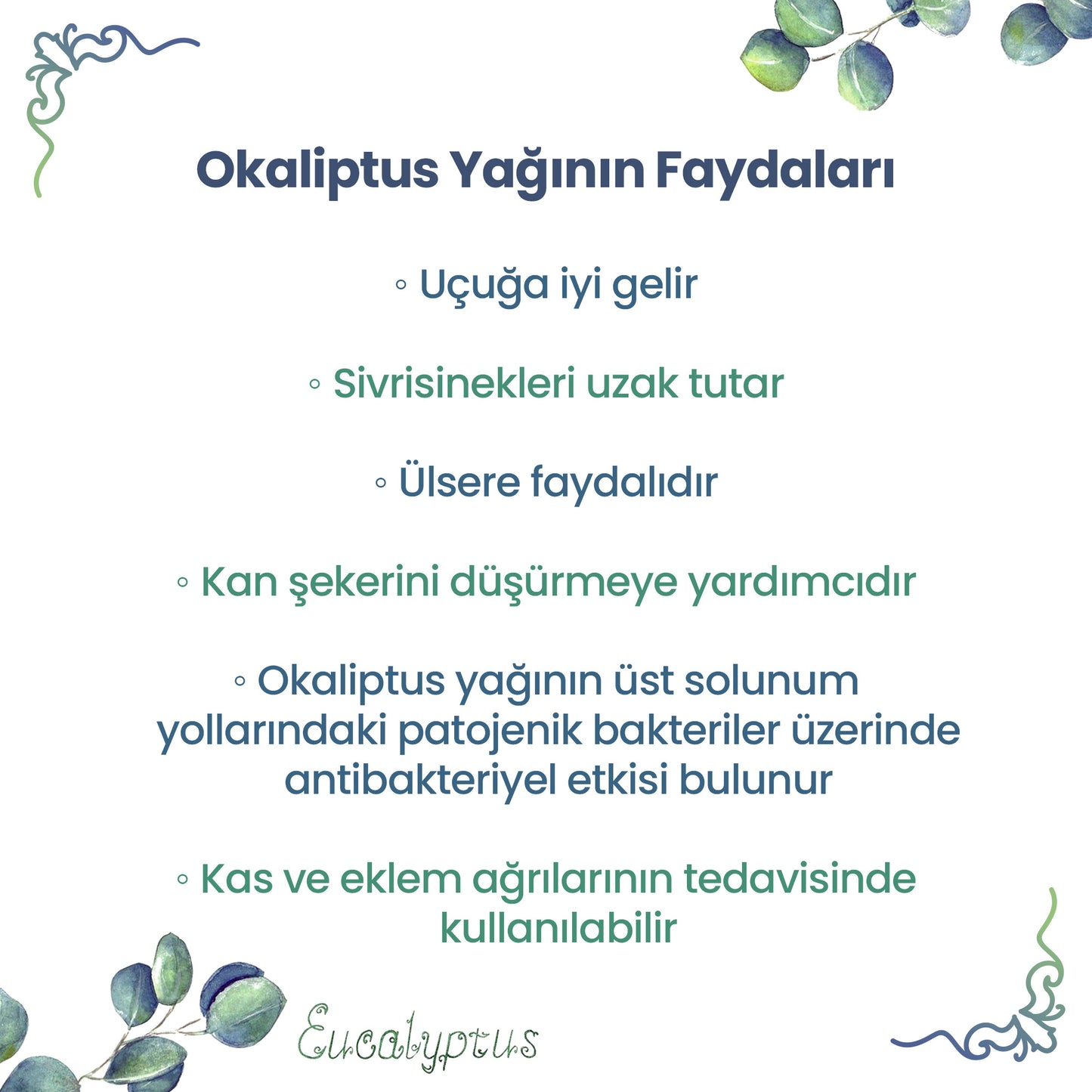 NPO Yogaroma Ferahlatıcı Aromaterapi 10mL Saf ve Doğal Okaliptus Uçucu Yağ