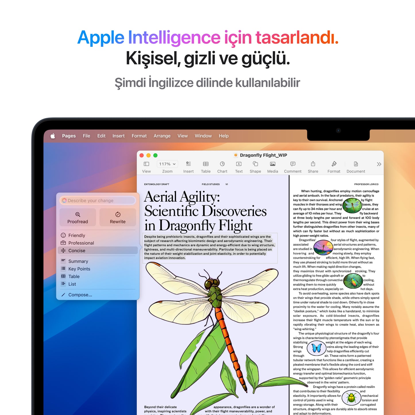 Apple Macbook Air M4 MW1L3TU/A 10CPU 10GPU 16GB 256SSD 15.3" MacOS Gece Yarısı Dizüstü Bilgisayar
