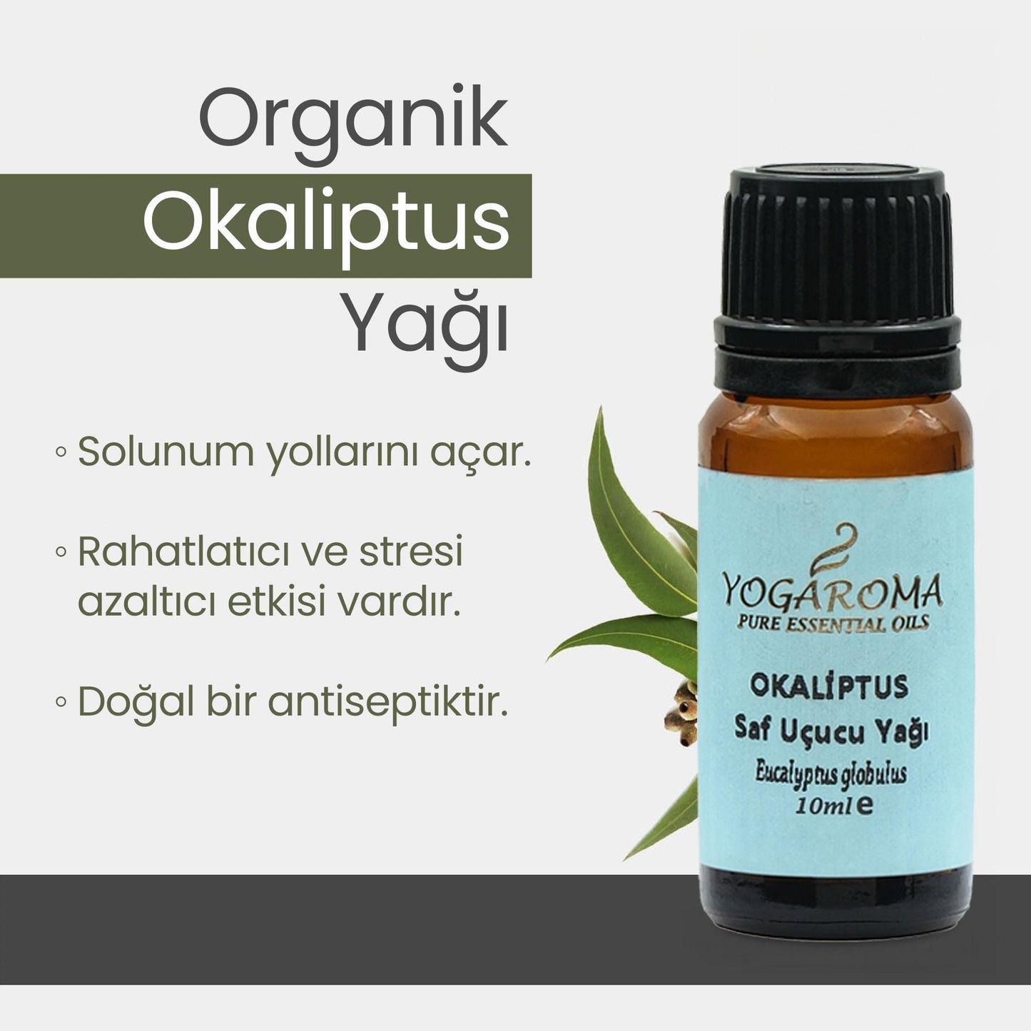 NPO Yogaroma Derin Nefes Ferahlatıcı Aromaterapi Saf ve Doğal Okaliptus Uçucu Yağ