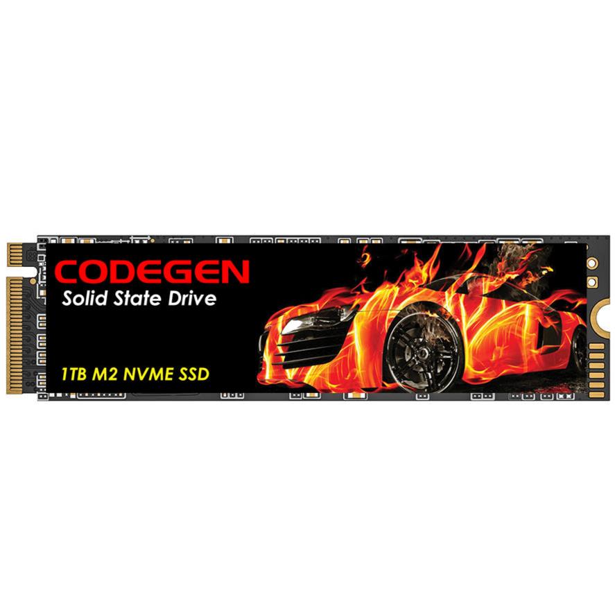 CODEGEN CDG-1TB-NVME M.2 1TB (2100/1700MB/s) PCIe + NVMe SSD Disk (22x80MM)