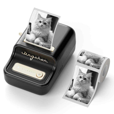 Niimbot B21S Bluetooth Taşınabilir Termal Etiket Yazıcı-Siyah