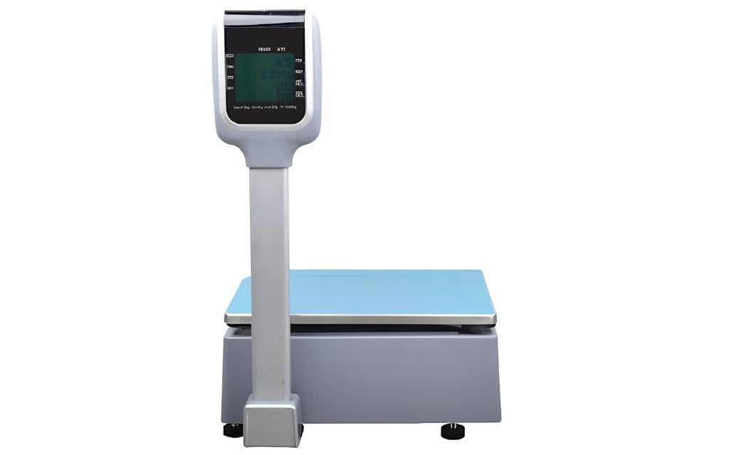 Palmx RLS1100D 30KG Ethernet Boyunlu Barkodlu Terazi