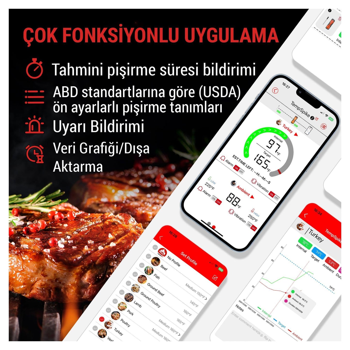 ThermoPro TP960 Bluetooth, Digital,Tek Problu Profesyonel Et Termometresi