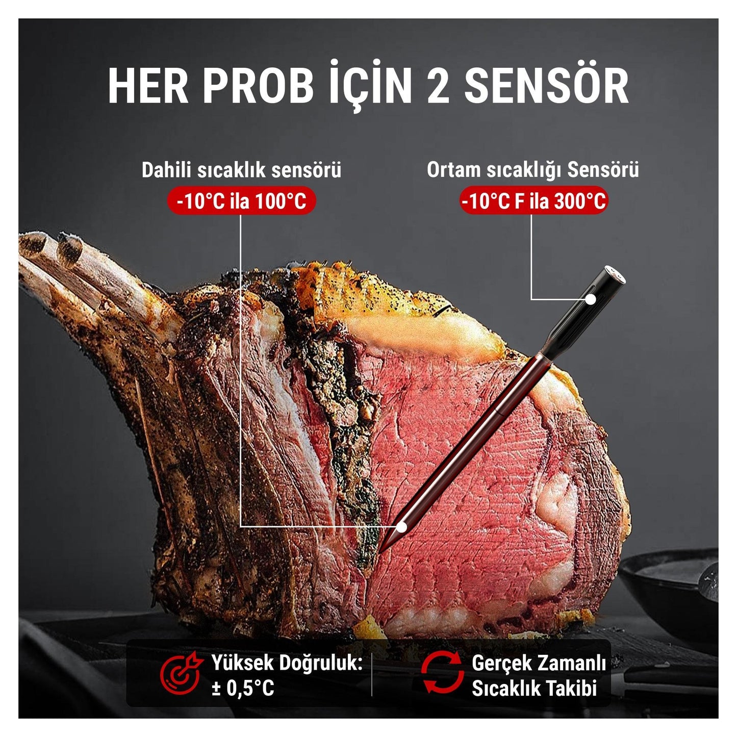 ThermoPro TP962 Bluetooth, Digital,Çift Problu Profesyonel Et Termometresi