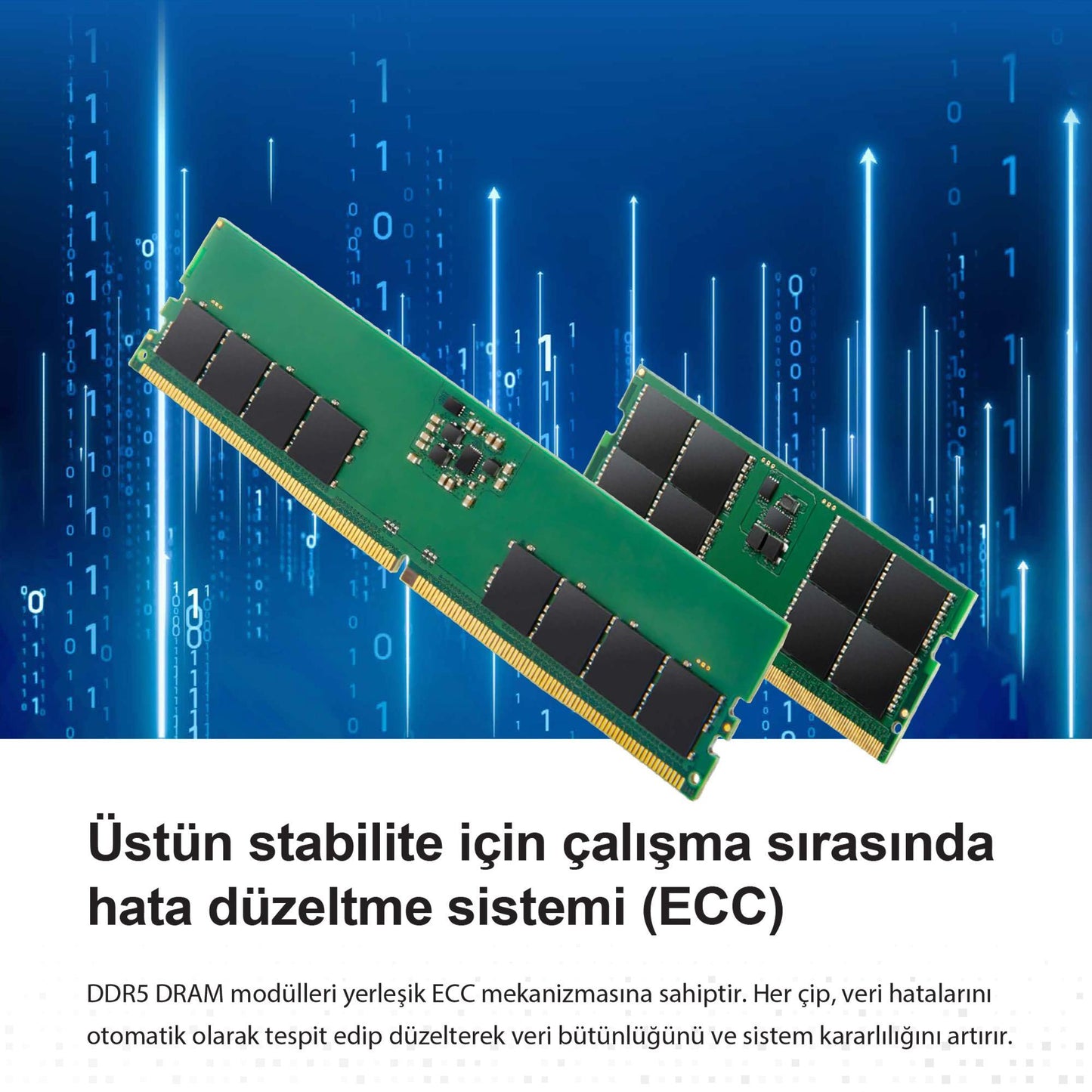 Transcend JM5600ASE-32G 32GB DDR5 5600Mhz CL46 1.1V Notebook Ram