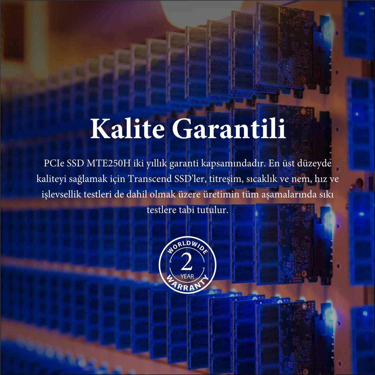 Transcend TS1TMTE250H 1TB M.2 2280 Gen4x4 NVMe Metal Soğutuculu SSD