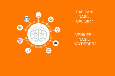 İnsan Hafızası: Yaşadıklarımızı Nasıl Kaydeder ve Hatırlarız?