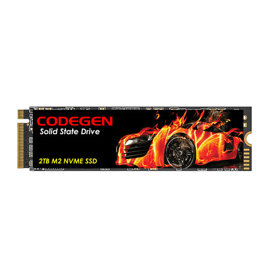 CODEGEN CDG-2TB-NVME M.2 2TB (3600/3000MB/s) PCIe + NVMe SSD Disk (22x80MM)