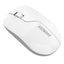 EVEREST SMW-973 USB Kablosuz 2.4Ghz Beyaz/Gri Mouse