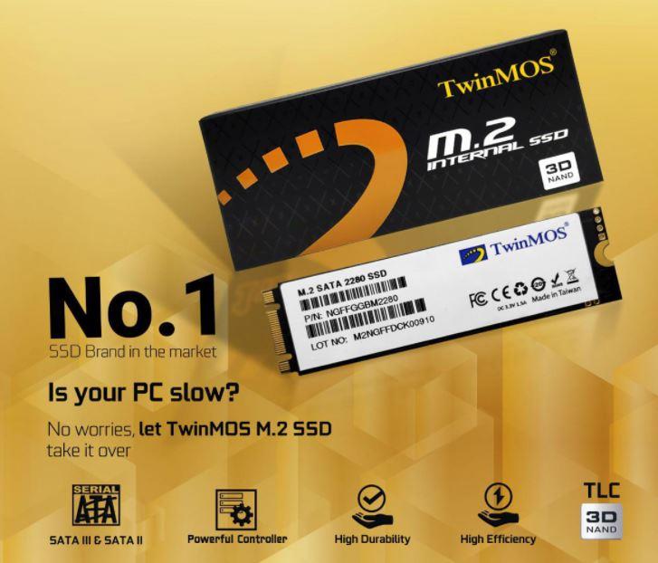 TWINMOS NGFFEGBM2280 M.2 256GB (580/550MB/s) PCIe SATA (3D NAND) SSD Disk (22x80MM)