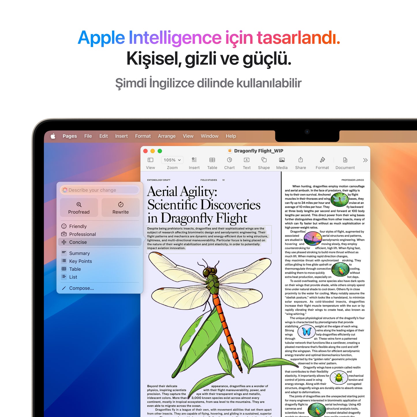 Apple MacBook Air M4 MC6A4TU/A 24GB 512SSD 13.6" Dizüstü Bilgisayar Yıldız Işığı