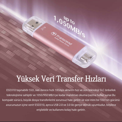 Transcend TS1TESD310S 1TB USB/Type-C 10Gbps Taşınabilir Harici SSD - Gümüş OUTLET