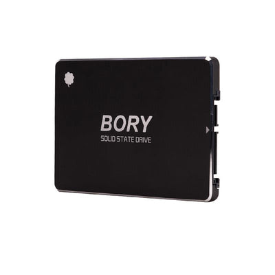 1 Tb Bory Sata3 R500-c1t Ssd 550/510 Mbs (3 Yil Garantili)