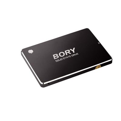 1 Tb Bory Sata3 R500-c1t Ssd 550/510 Mbs (3 Yil Garantili)