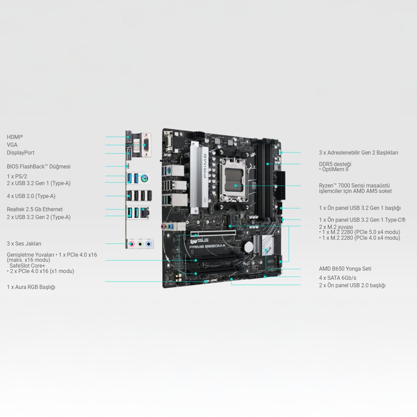 ASUS PRIME B650M-A B650 DDR5 (Vga Yok) GLan 2.5G mATX HD DP 2xM2 USB3 RGB AM5 AMD Anakart