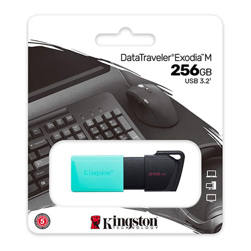 KINGSTON DTXM/256GB DT ExodiaM 256GB USB 3.2 Siyah USB Bellek