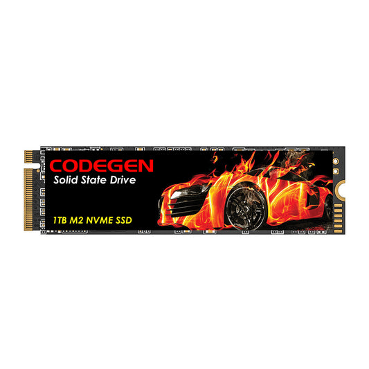 CODEGEN CDG-1TB-NVME M.2 1TB (2100/1700MB/s) PCIe + NVMe SSD Disk (22x80MM)