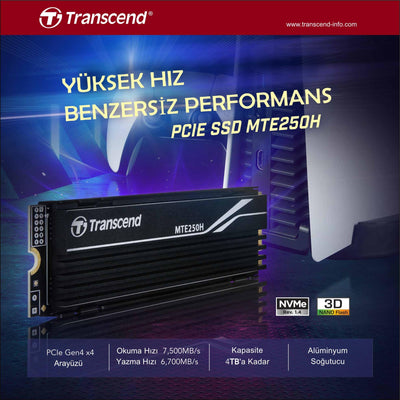 Transcend TS1TMTE250H 1TB M.2 2280 Gen4x4 NVMe Metal Soğutuculu SSD